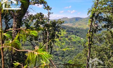 TERRENO UBICADO EN CAPULA MINERAL DEL CHICO, COLINDA CON EL RÍO $46 EL M2
