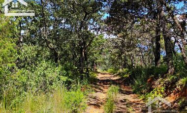 TERRENO UBICADO EN CAPULA MINERAL DEL CHICO, COLINDA CON EL RÍO $46 EL M2