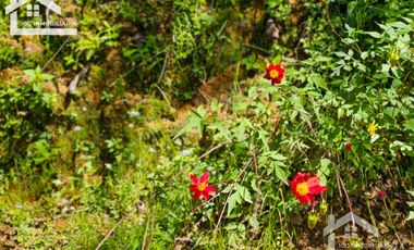 TERRENO UBICADO EN CAPULA MINERAL DEL CHICO, COLINDA CON EL RÍO $46 EL M2