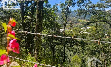 TERRENO UBICADO EN CAPULA MINERAL DEL CHICO, COLINDA CON EL RÍO $46 EL M2