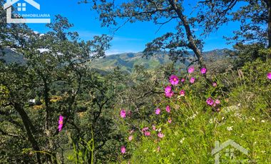 TERRENO UBICADO EN CAPULA MINERAL DEL CHICO, COLINDA CON EL RÍO $46 EL M2
