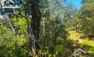 TERRENO UBICADO EN CAPULA MINERAL DEL CHICO, COLINDA CON EL RÍO $46 EL M2