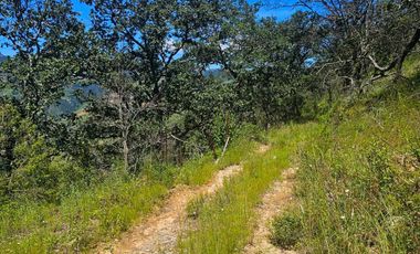 TERRENO UBICADO EN CAPULA MINERAL DEL CHICO, COLINDA CON EL RÍO $46 EL M2