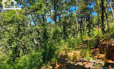 TERRENO UBICADO EN CAPULA MINERAL DEL CHICO, COLINDA CON EL RÍO $46 EL M2