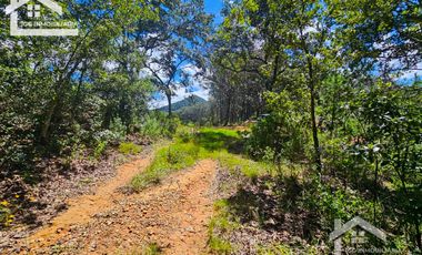 TERRENO UBICADO EN CAPULA MINERAL DEL CHICO, COLINDA CON EL RÍO $46 EL M2
