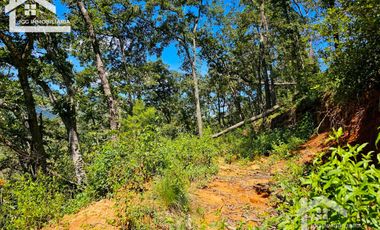 TERRENO UBICADO EN CAPULA MINERAL DEL CHICO, COLINDA CON EL RÍO $46 EL M2