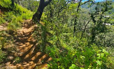 TERRENO UBICADO EN CAPULA MINERAL DEL CHICO, COLINDA CON EL RÍO $46 EL M2