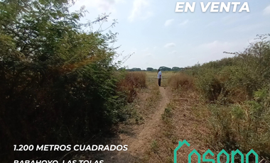 Terreno en Venta, Babahoyo, Las Tolas, Los Rios, Ecuador