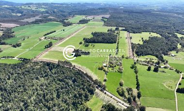 CAMPO 82 HA LOS MUERMOS