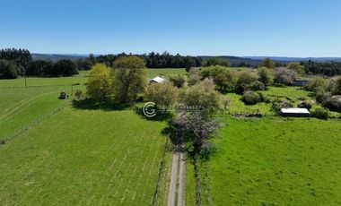 CAMPO 82 HA LOS MUERMOS