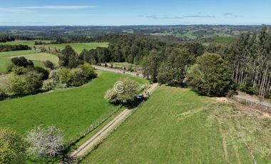 CAMPO 82 HA LOS MUERMOS