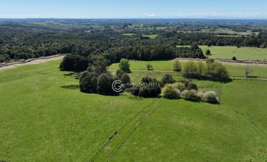 CAMPO 82 HA LOS MUERMOS