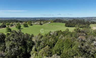 CAMPO 82 HA LOS MUERMOS