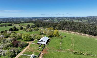 CAMPO 82 HA LOS MUERMOS
