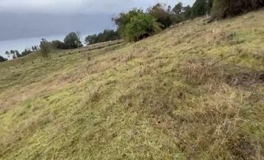 Hermosa Parcela Loteo Quebrada Riñihue