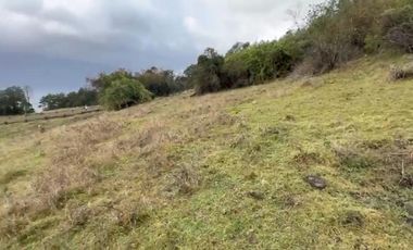 Hermosa Parcela Loteo Quebrada Riñihue