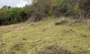 Hermosa Parcela Loteo Quebrada Riñihue