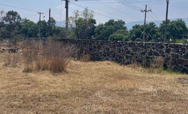 10 HECTAREAS, aprox. COL. SAN PABLO HUANTEPEC, EJILOTEPEC EDOMEX. TERRENO PLANO, USO DE SUELO