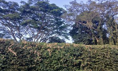 LOTE EN VENTA LA MORADA