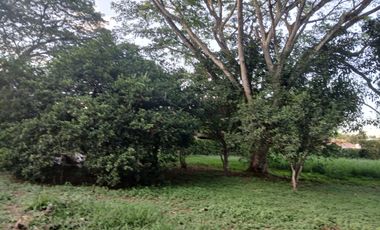 LOTE EN VENTA LA MORADA