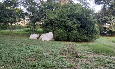 LOTE EN VENTA LA MORADA