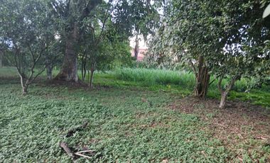 LOTE EN VENTA LA MORADA