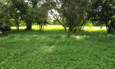 LOTE EN VENTA LA MORADA