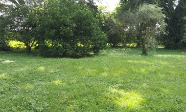 LOTE EN VENTA LA MORADA