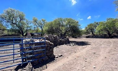 Venta de Rancho Agro Industrial en san jose de iturbide GJ 950 hectareas
