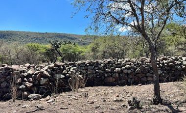 Venta de Rancho Agro Industrial en san jose de iturbide GJ 950 hectareas
