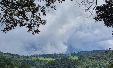 TERRENO EN VENTA EN MAZAMITLA