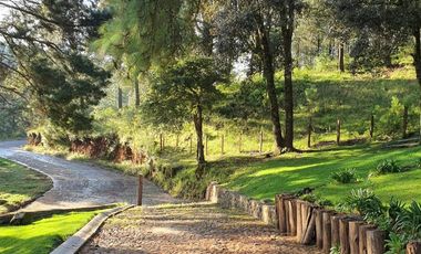 TERRENO EN VENTA EN MAZAMITLA