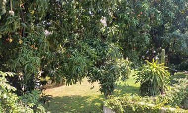 Casa en venta en Zacatepec Morelos con Jardín de eventos