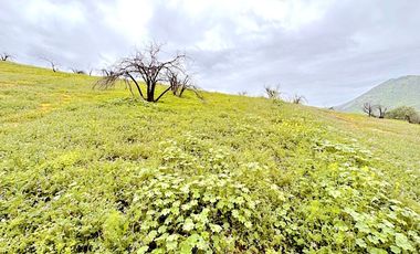 Sitio en cerro con vista despejada hacia el Valle de Chicureo, La Reserva