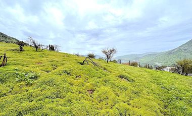 Terreno en cerro con vista despejada al Valle de Chicureo, La Reserva