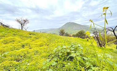 Terreno en cerro con vista despejada al Valle de Chicureo, La Reserva