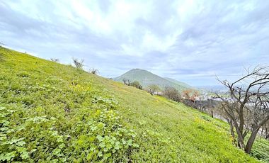 Terreno en cerro con vista despejada al Valle de Chicureo, La Reserva