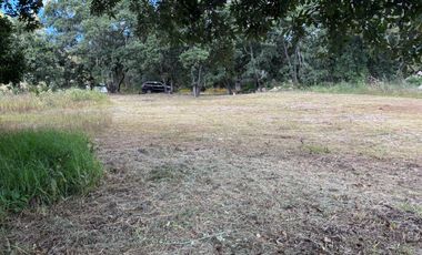 Terreno en Venta Haras del Bosque