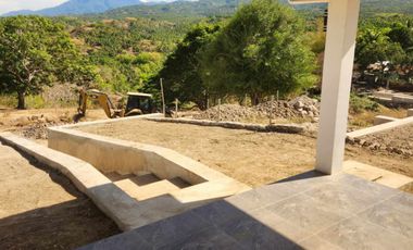 FOR SALE – Sibulan 2BR Newly Built Custom Home