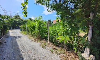 100 TW | Prime Home Building Plot!  Conveniently Located In Soi 94 Area
