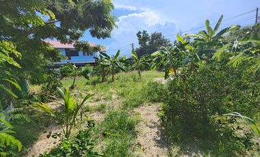 100 TW | Prime Home Building Plot!  Conveniently Located In Soi 94 Area