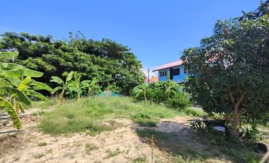 100 TW | Prime Home Building Plot!  Conveniently Located In Soi 94 Area
