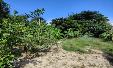 100 TW | Prime Home Building Plot!  Conveniently Located In Soi 94 Area