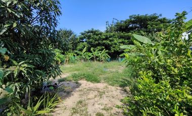 100 TW | Prime Home Building Plot!  Conveniently Located In Soi 94 Area