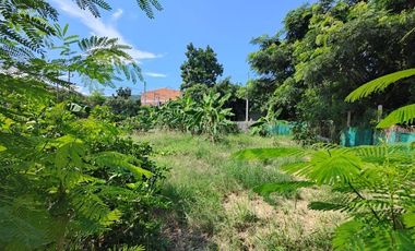 100 TW | Prime Home Building Plot!  Conveniently Located In Soi 94 Area