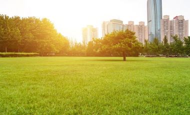 Lote en venta, Palo Solo, Naucalpan