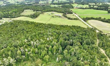 CAMPO 76 HA LOS MUERMOS