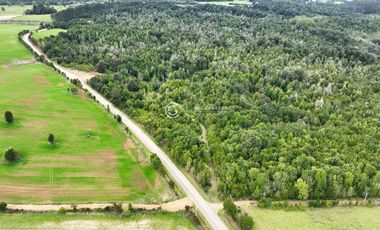 CAMPO 76 HA LOS MUERMOS