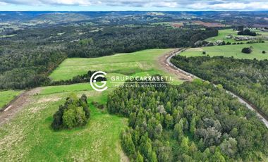 CAMPO 76 HA LOS MUERMOS