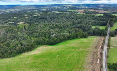 CAMPO 76 HA LOS MUERMOS
